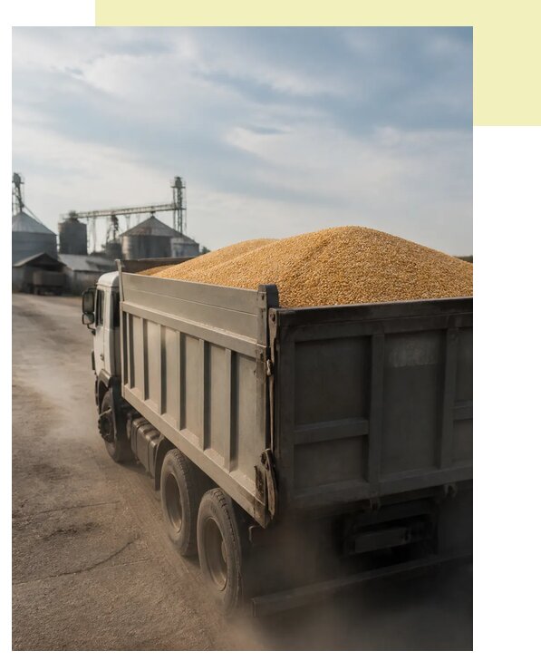 Перевозка сельхозпродукции навалом в Лысьву по цене от 3077 р. | Агросервис-Лсь